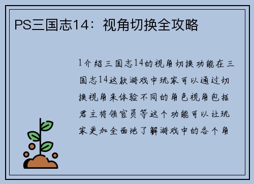 PS三国志14：视角切换全攻略
